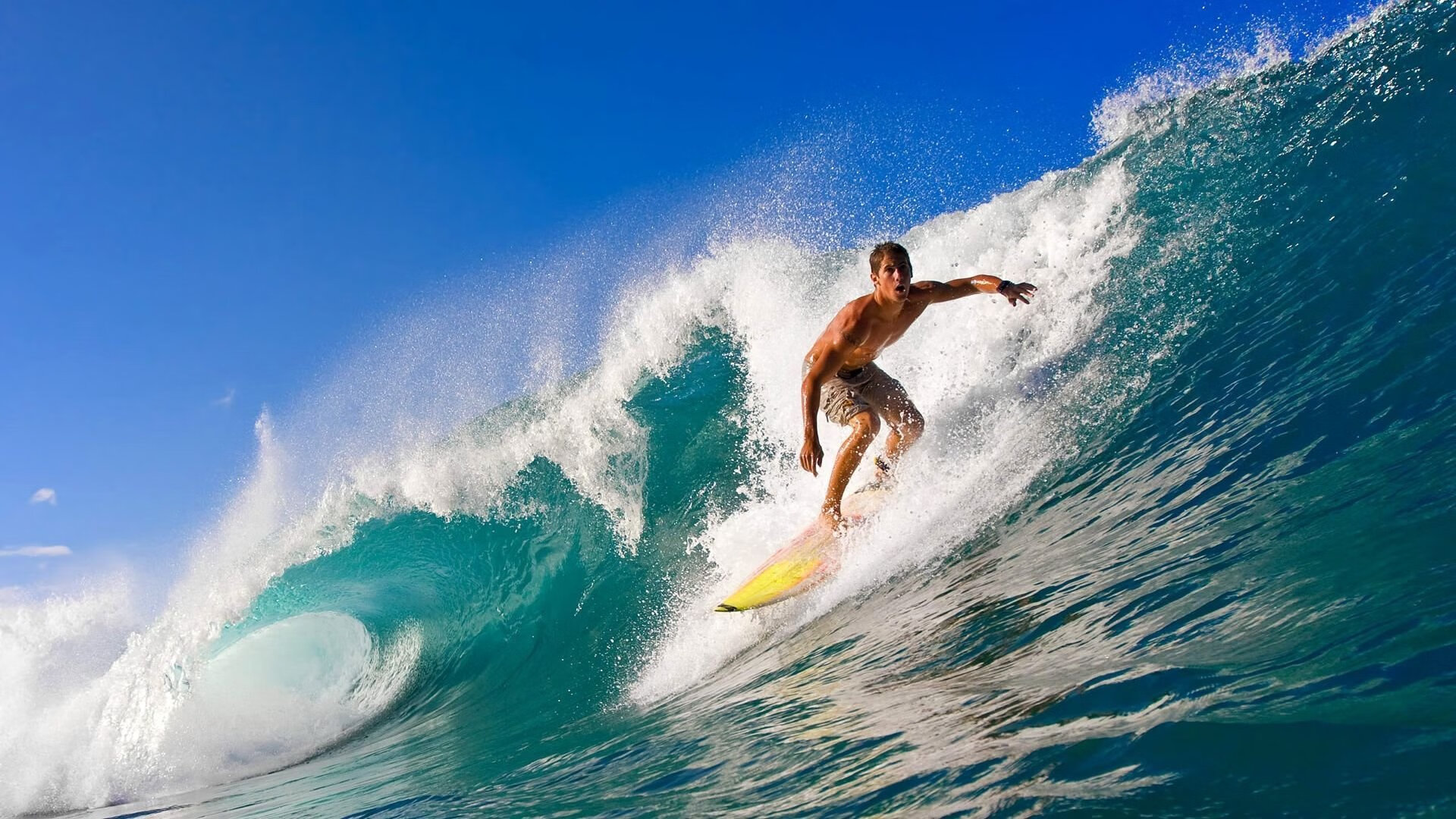 _夜光灯光冲刺赛：灯火下的速度较量_，灯光show